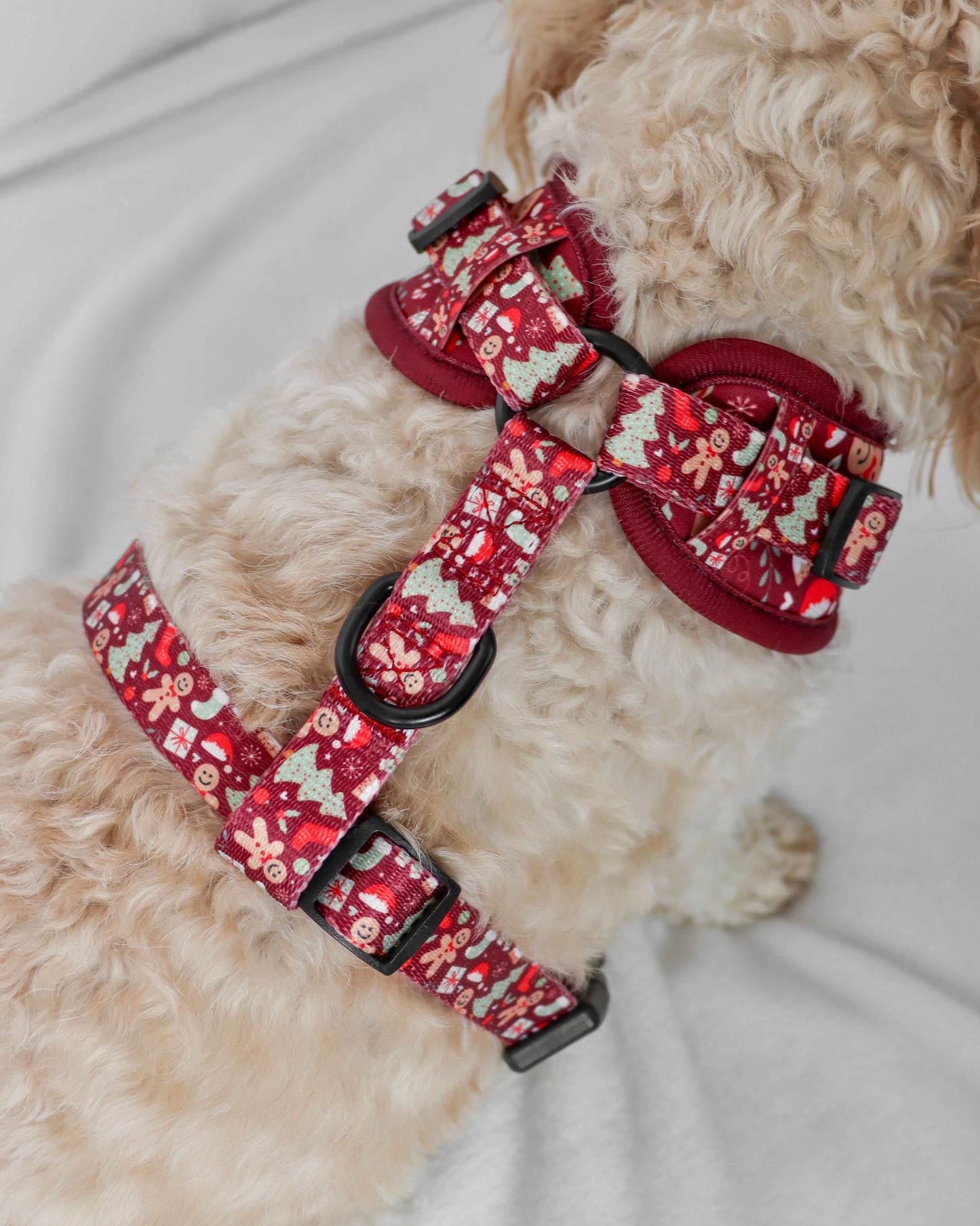 Adjustable Harness - Tis the Season