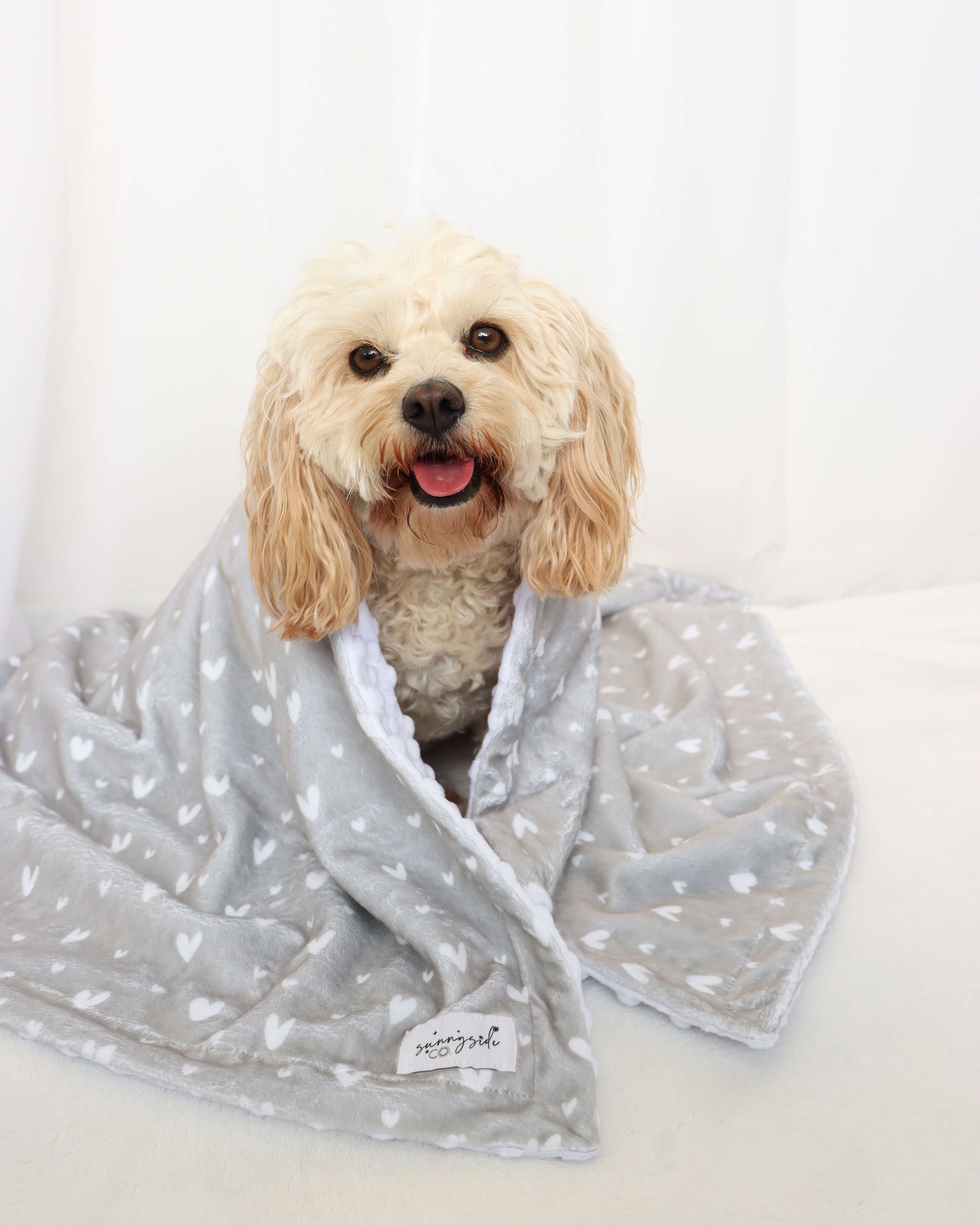 Beauty in Greige - Pet Blanket