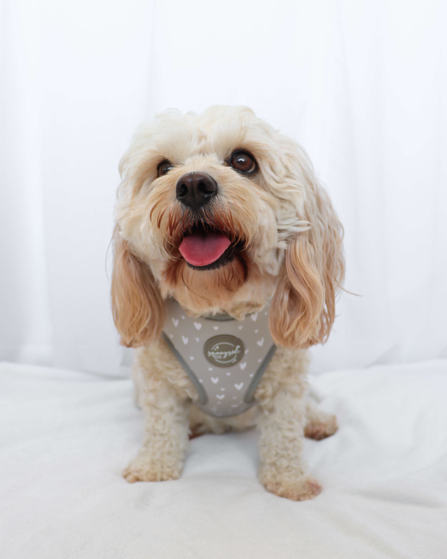 Adjustable Harness - Beauty in Greige