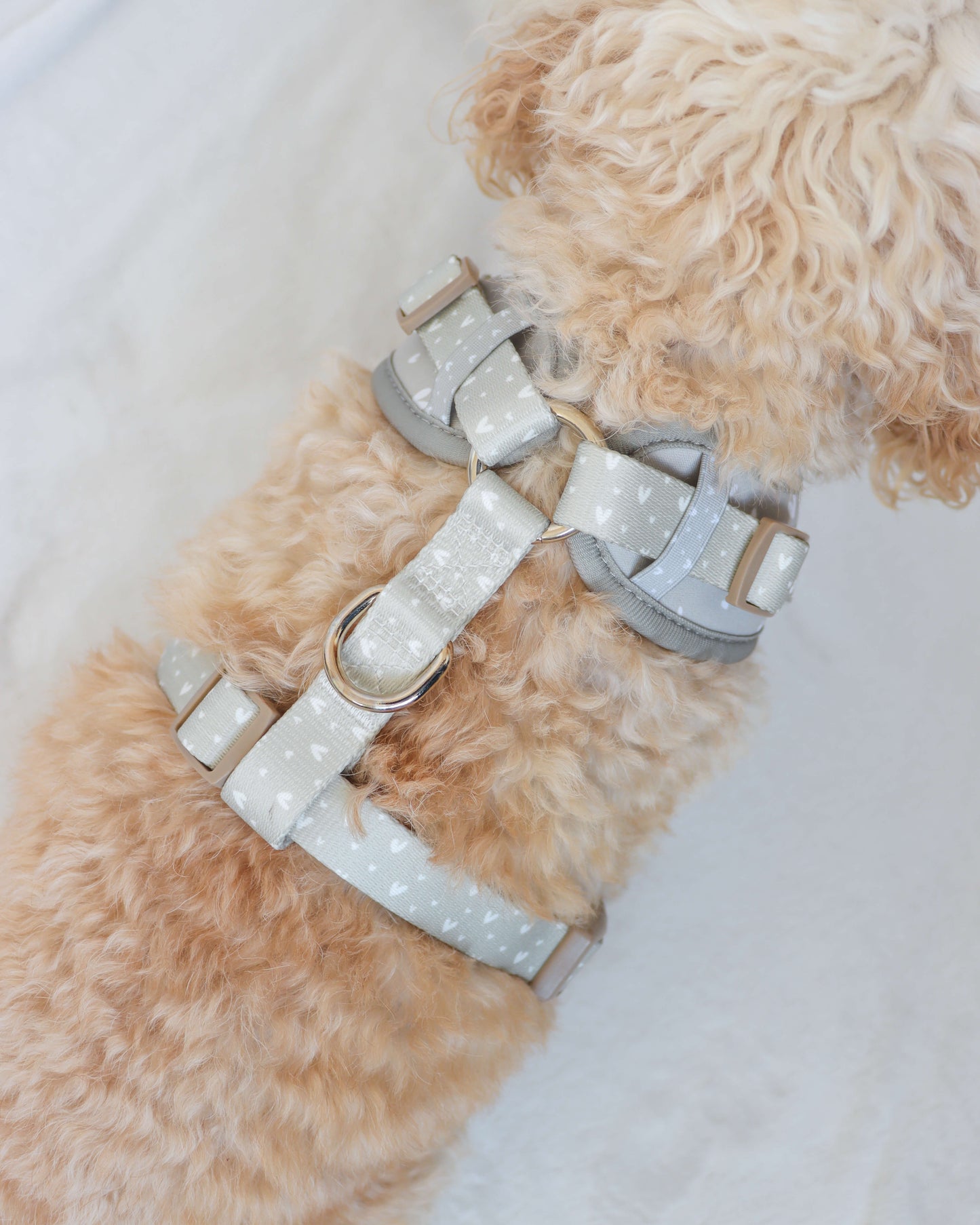 Adjustable Harness - Beauty in Greige