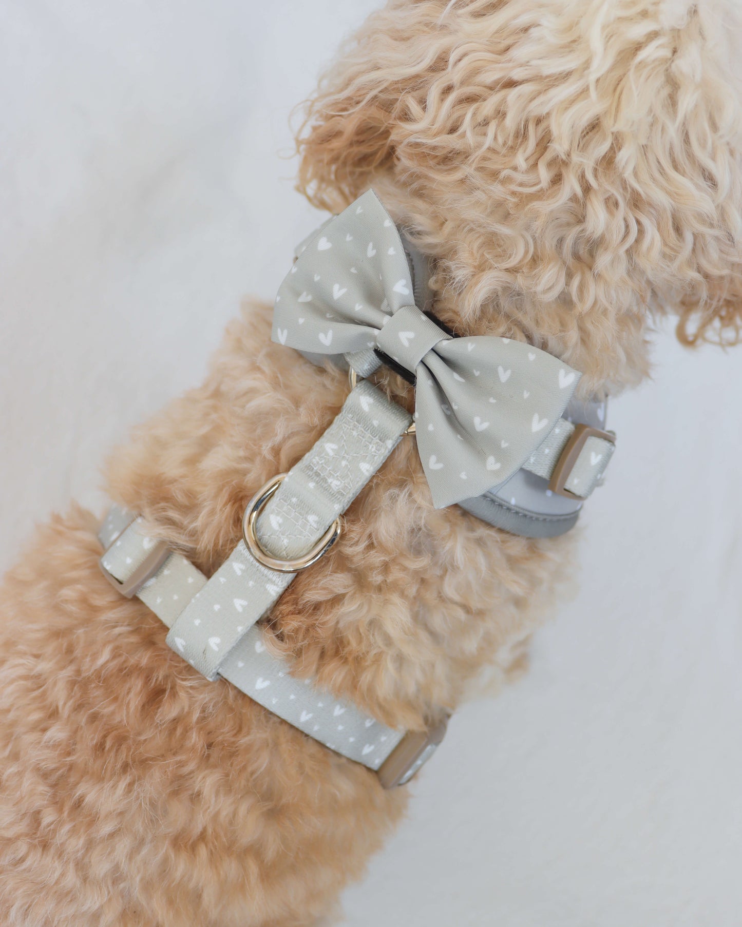 Bow Tie - Beauty in Greige