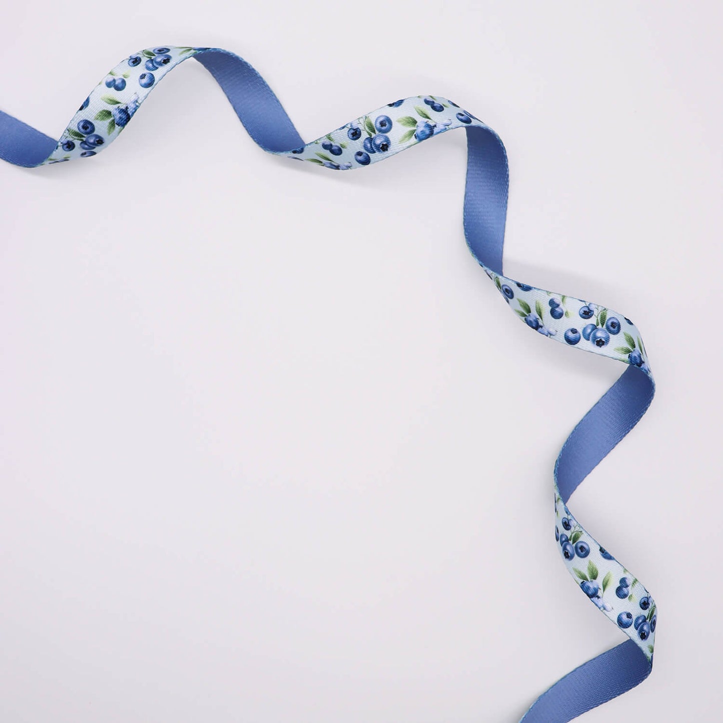 Adjustable Lead - Baby Blueberries