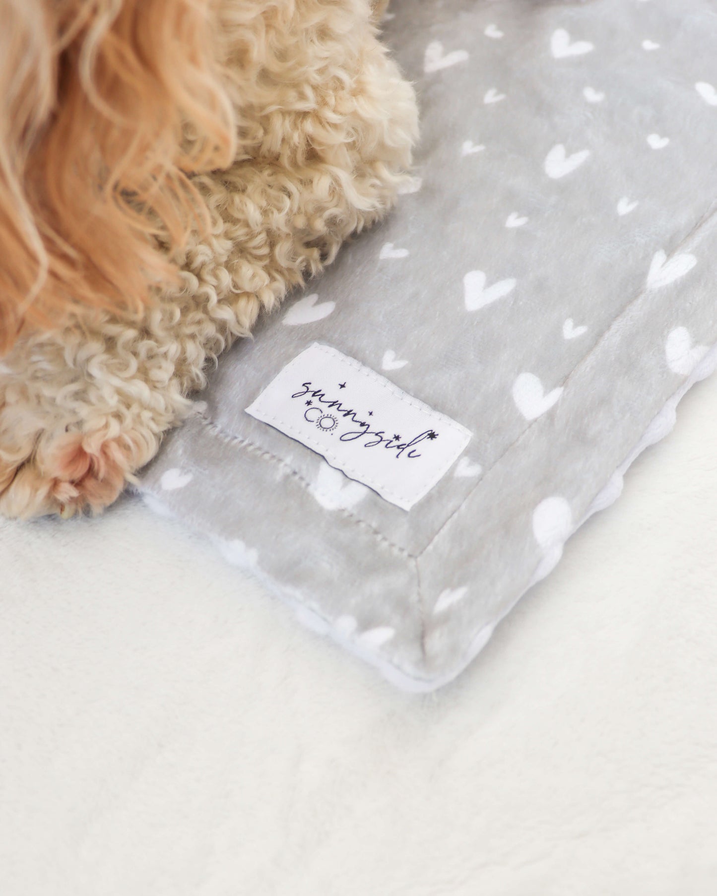 Beauty in Greige - Pet Blanket