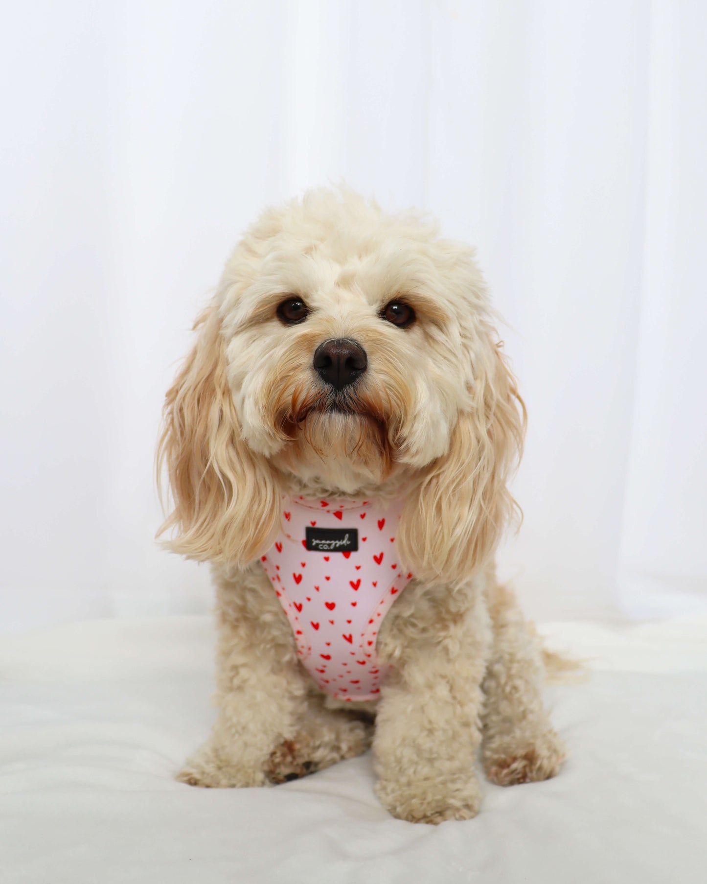 Adjustable Harness - Pretty in Pink