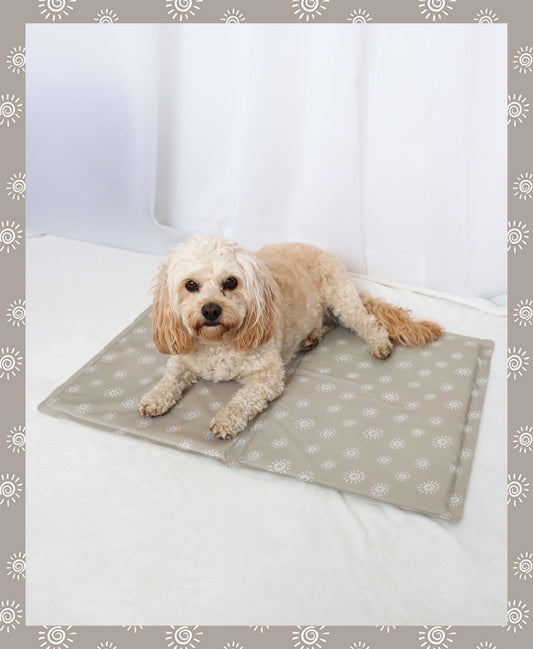 Cool Mat - Here Comes The Sun