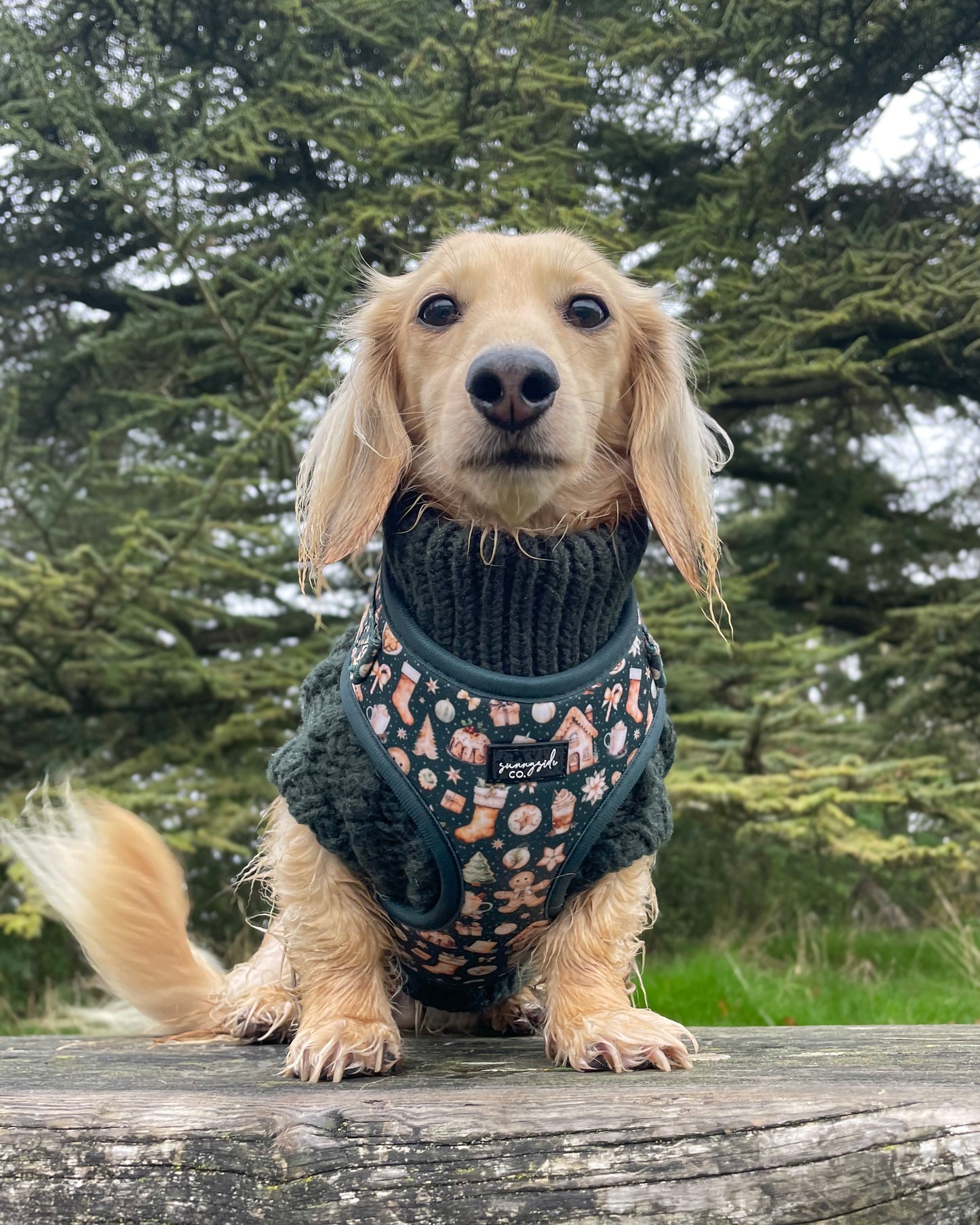 Adjustable Harness - Cosy Christmas