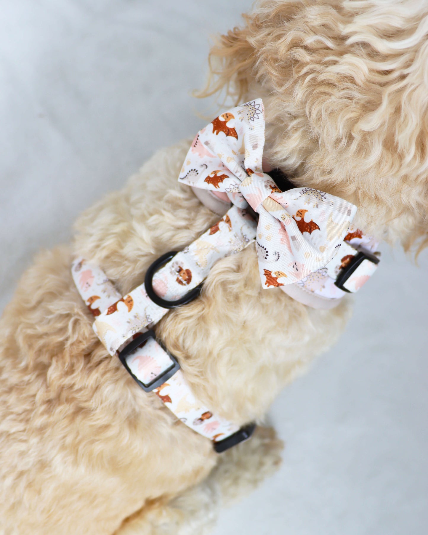 Bow Tie - Dainty Dinos