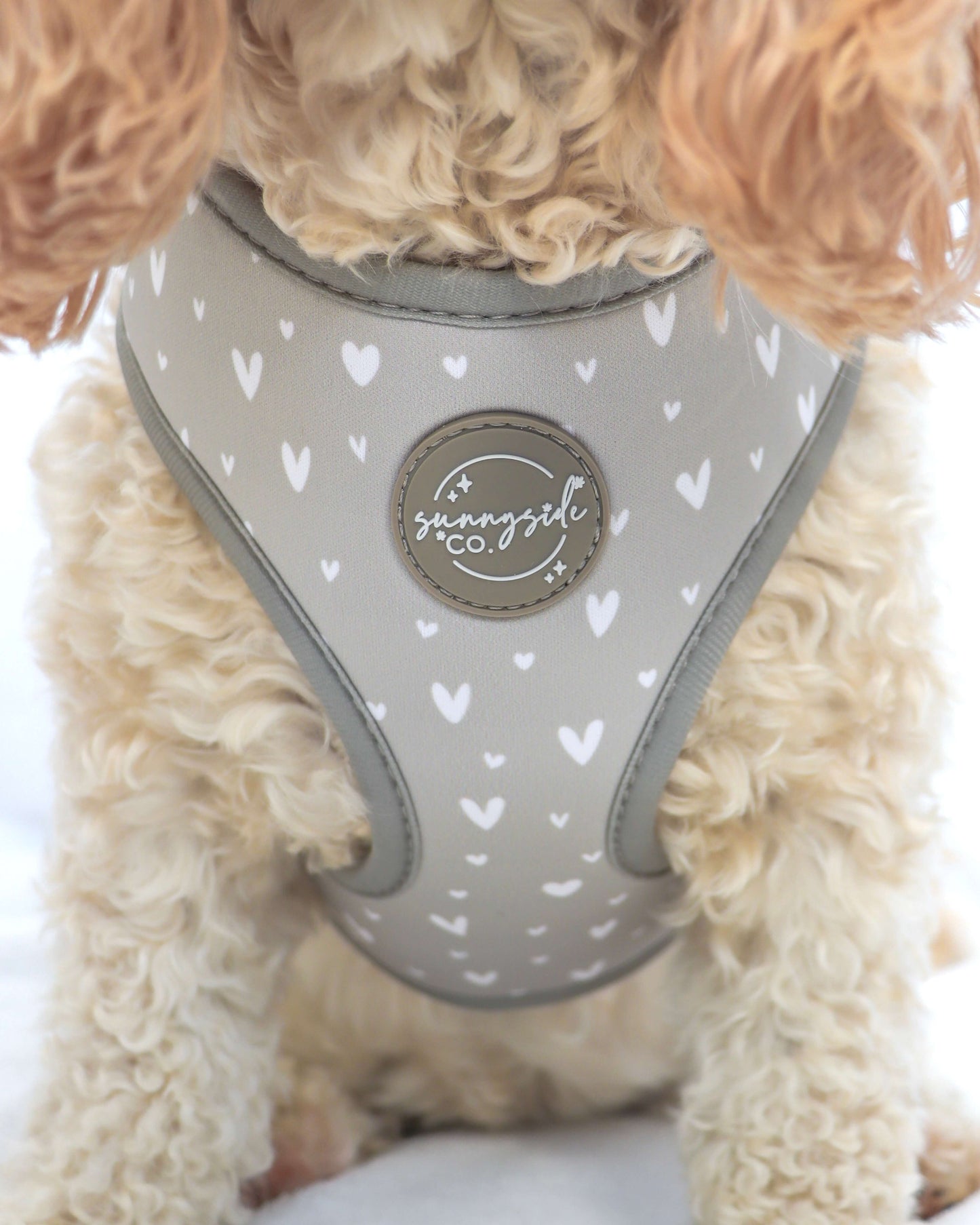 Adjustable Harness - Beauty in Greige