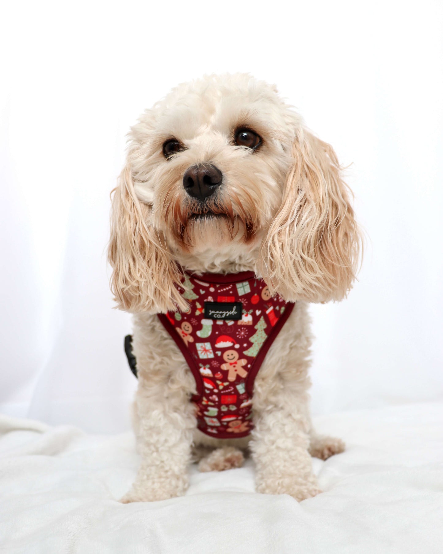 Adjustable Harness - Tis the Season