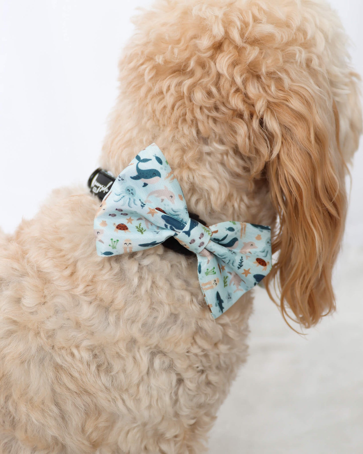 Bow Tie - Sea of Blue