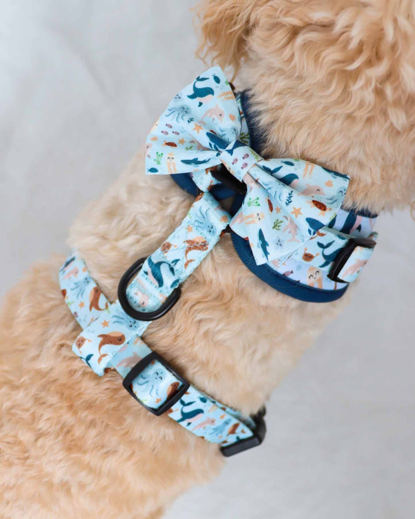 Bow Tie - Sea of Blue