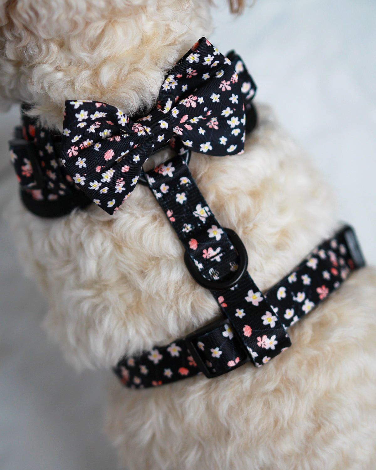 Bow Tie - Sweet Cherry Blossom