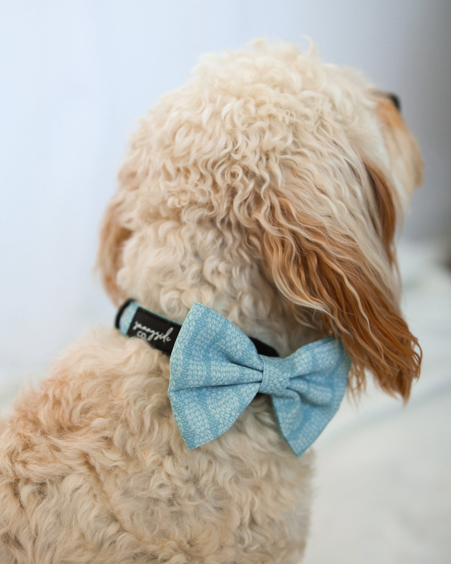 Bow Tie - Stitched With Love - ICE BLUE
