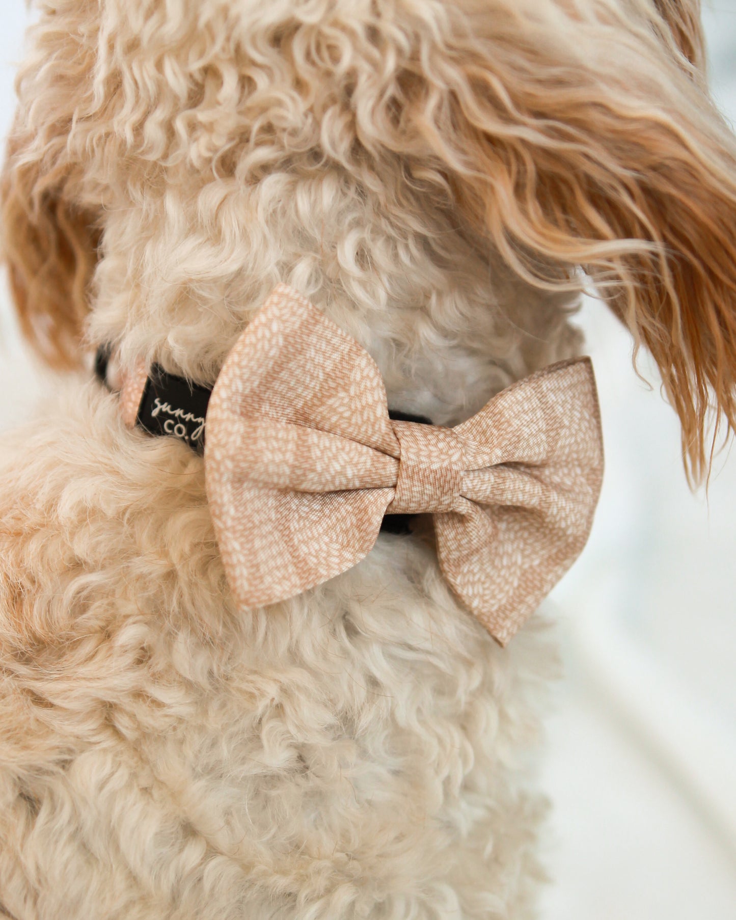 Bow Tie - Stitched With Love - GOLDEN BEIGE