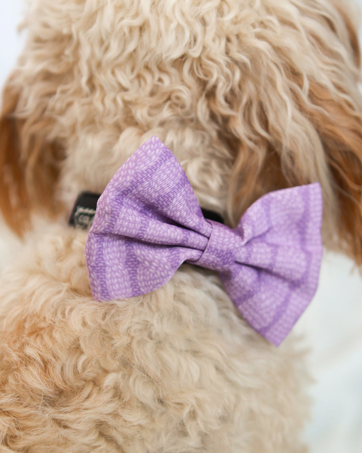Bow Tie - Stitched With Love - LILAC