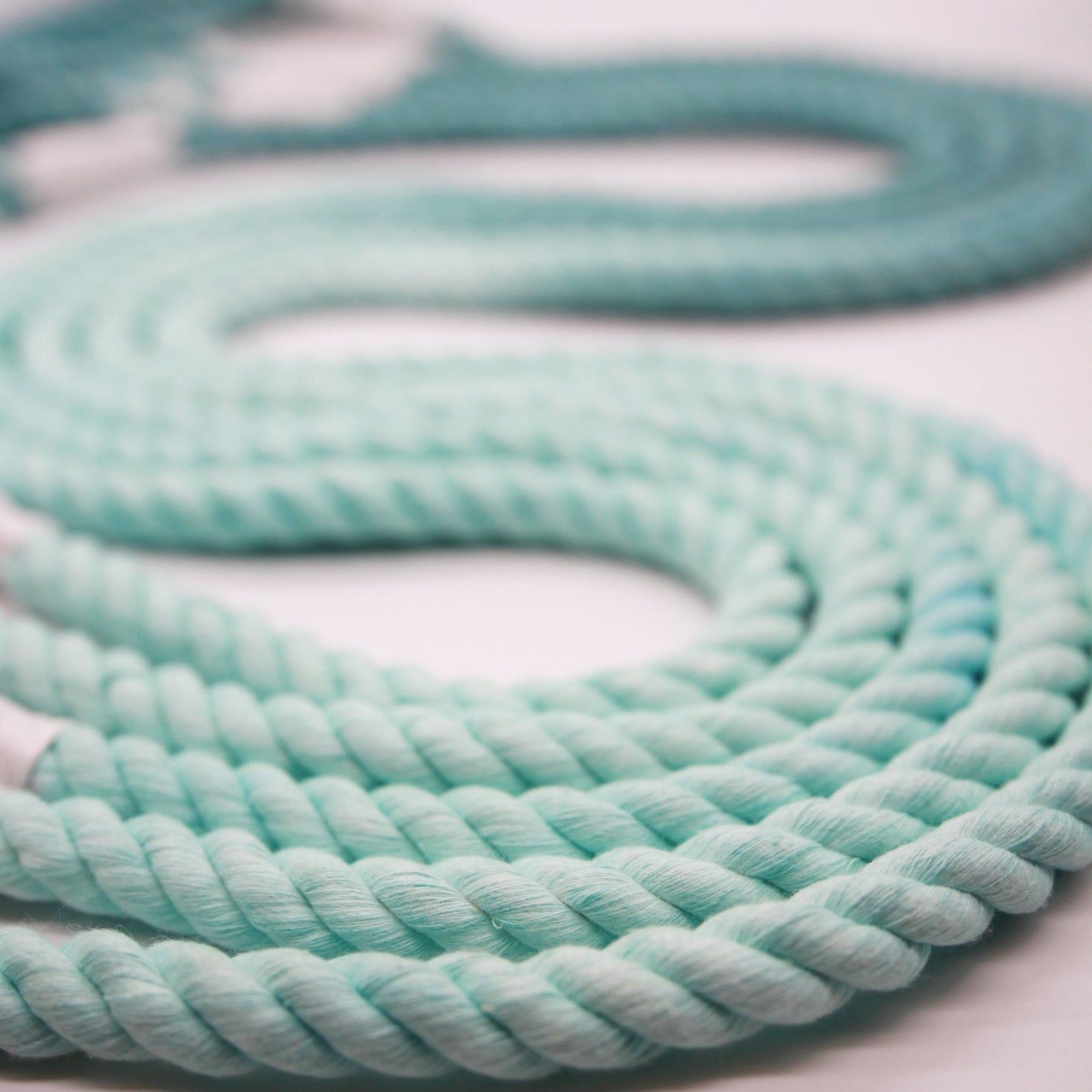 Ice Blue - Rope Lead