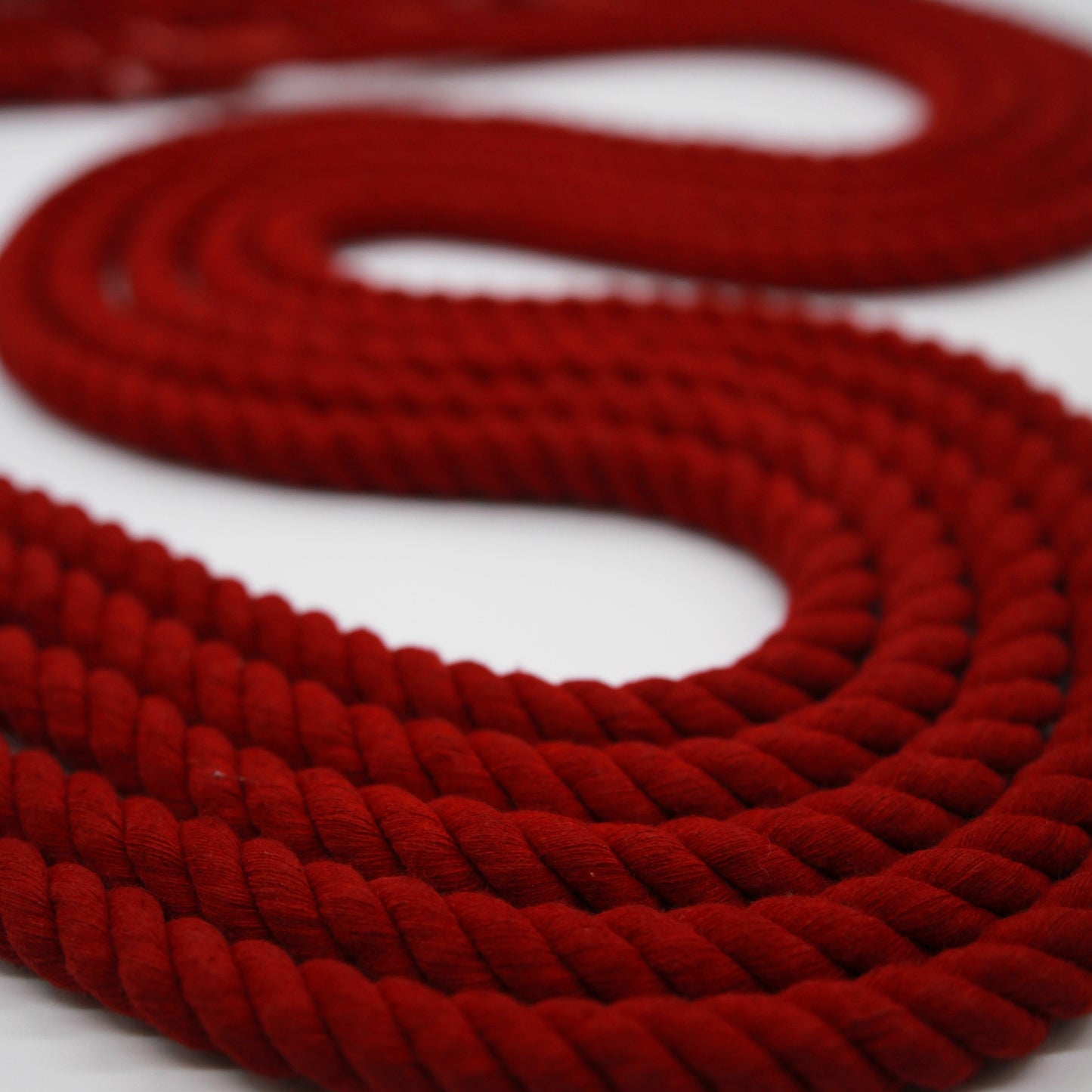 Burgundy Love - Rope Lead