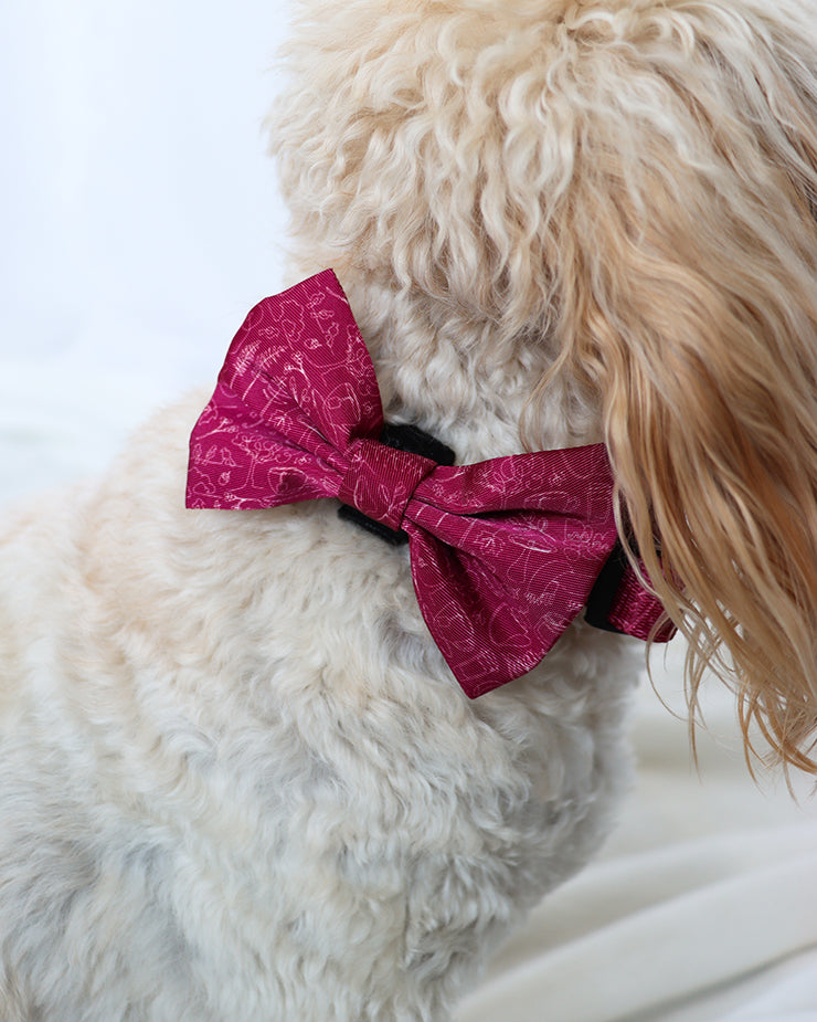 Bow Tie - Burgundy Doodles