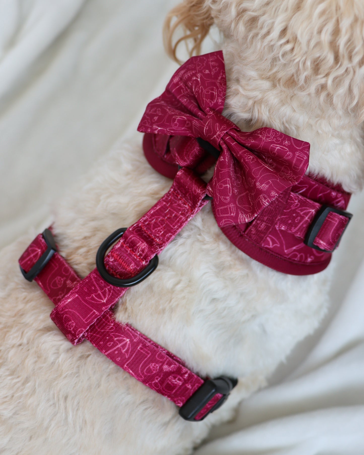 Bow Tie - Burgundy Doodles