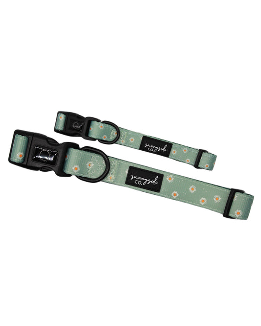 Collar - Sage Daisies