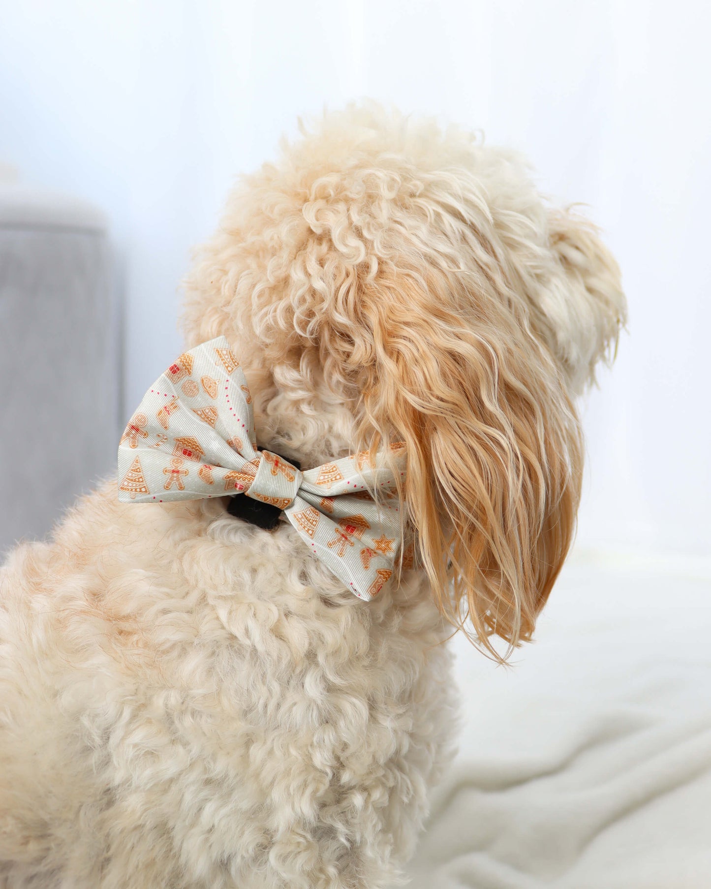 Bow Tie - Gingerbread Kisses