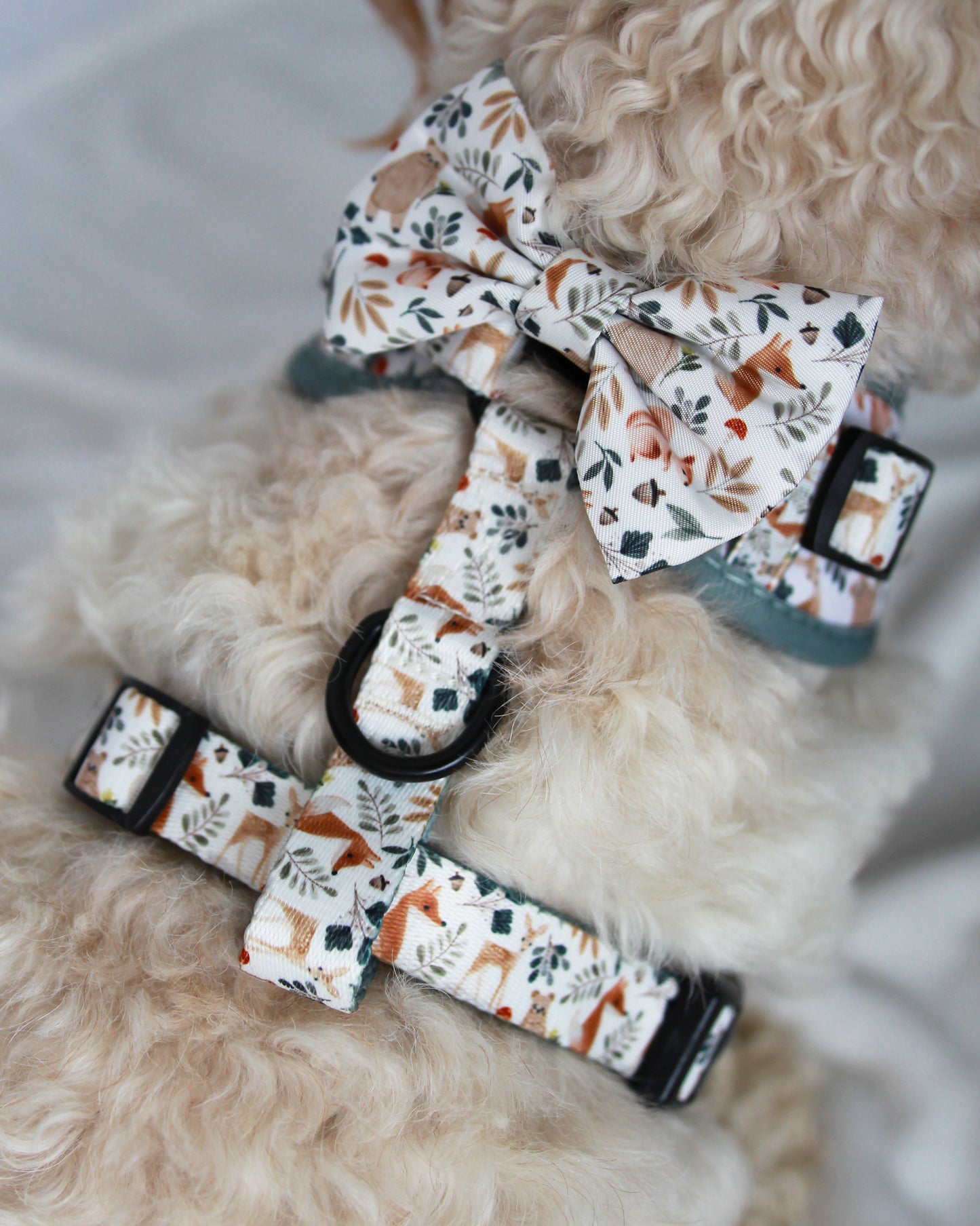 Bow Tie - Woodland Wonders