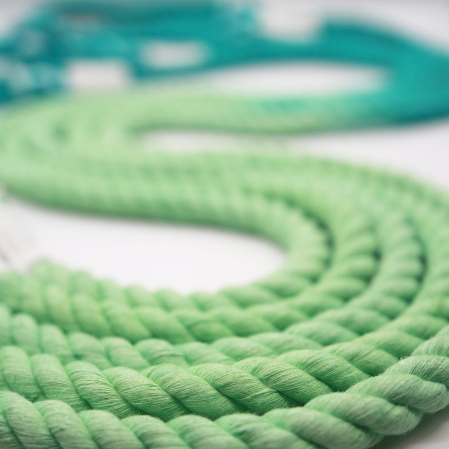 Mint Teal - Rope Lead