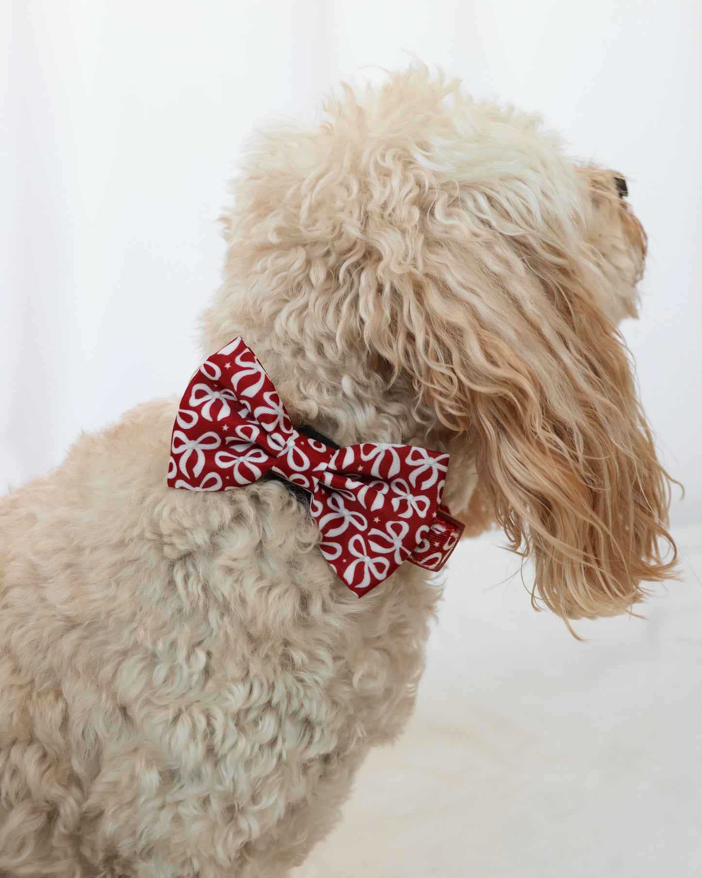 Bow Tie - Bow So Festive