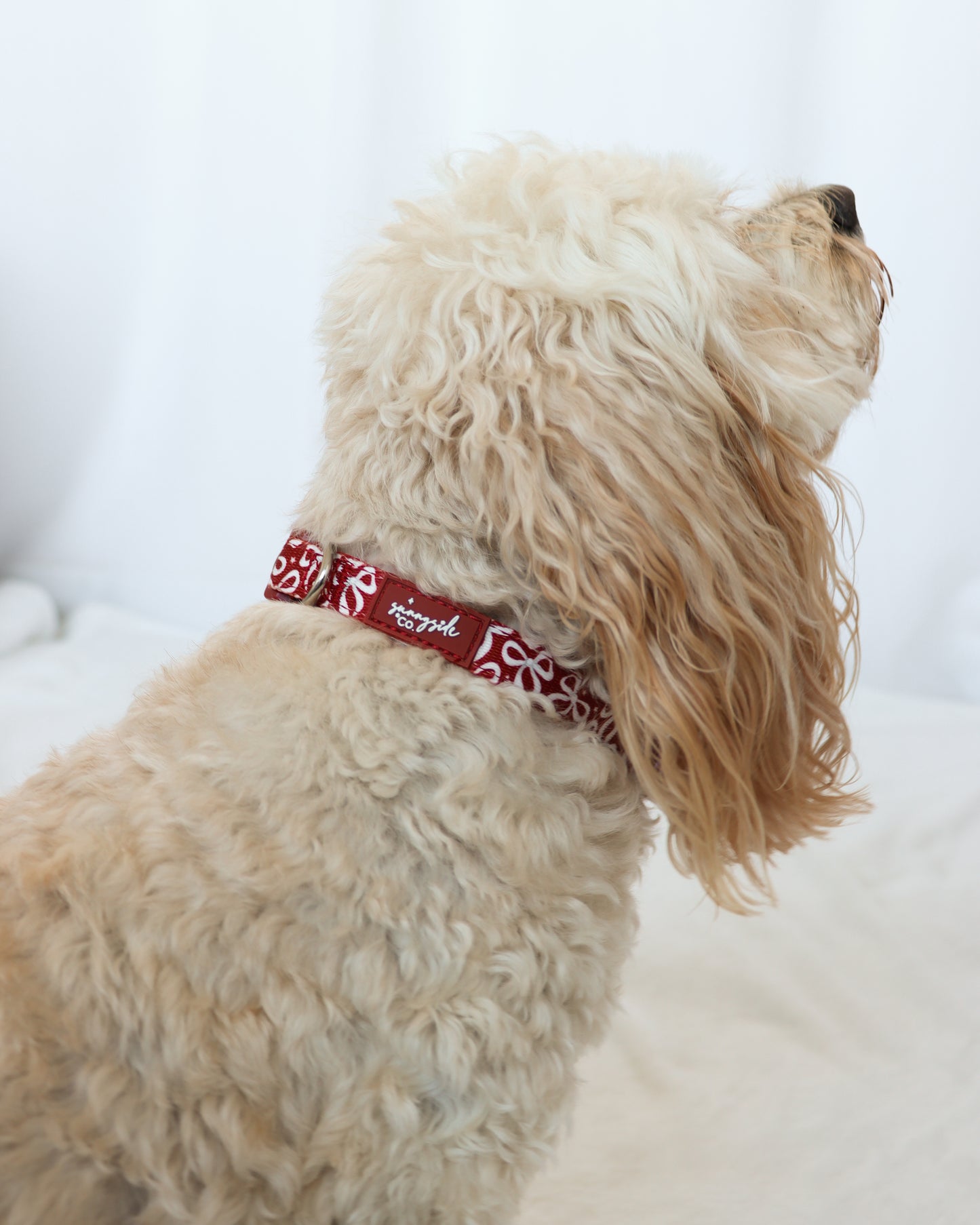 Collar - Bow So Festive