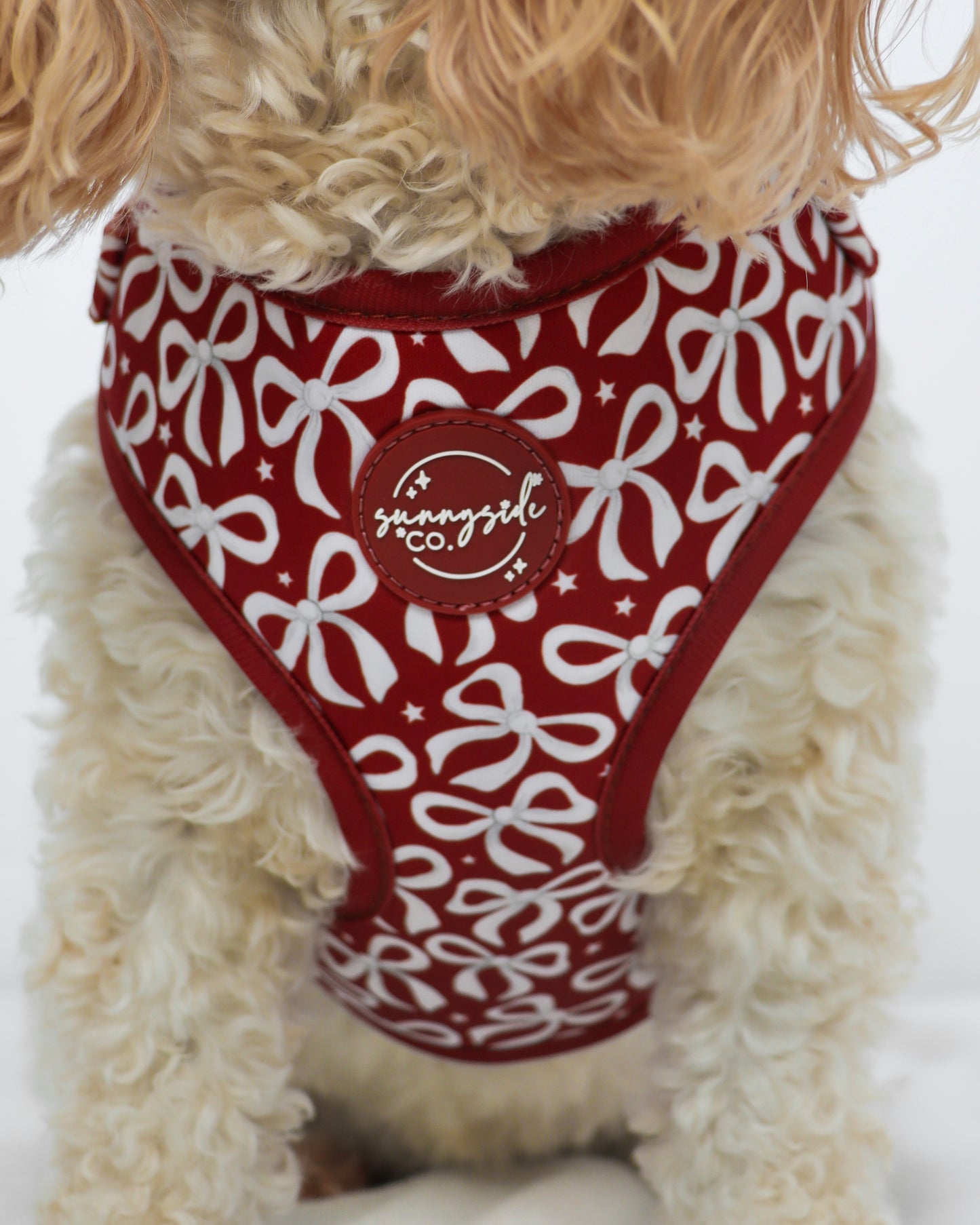 Adjustable Harness - Bow So Festive