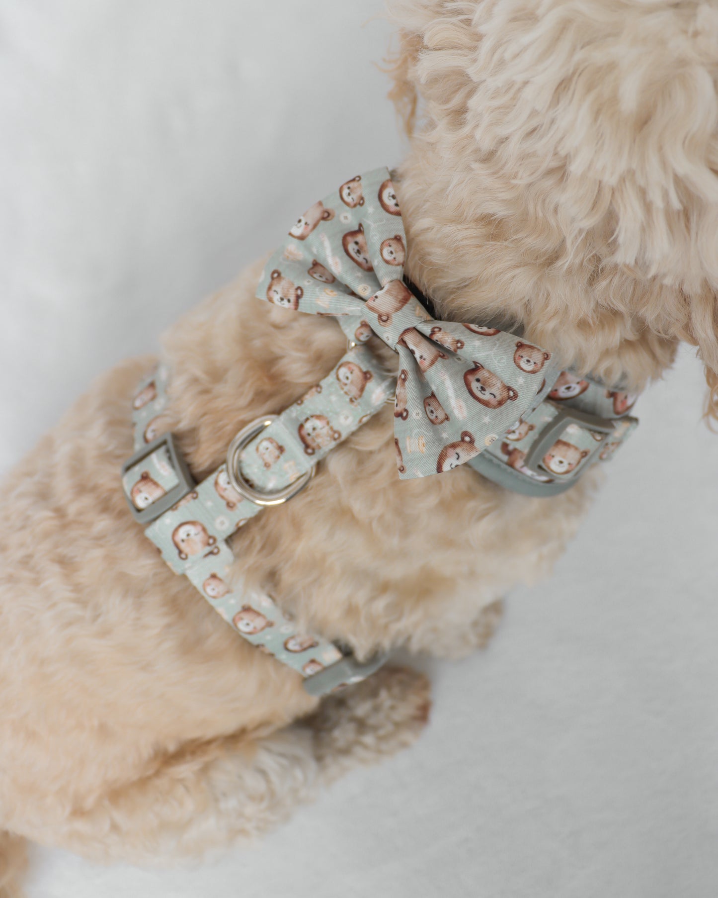 Bow Tie - Beary Sage