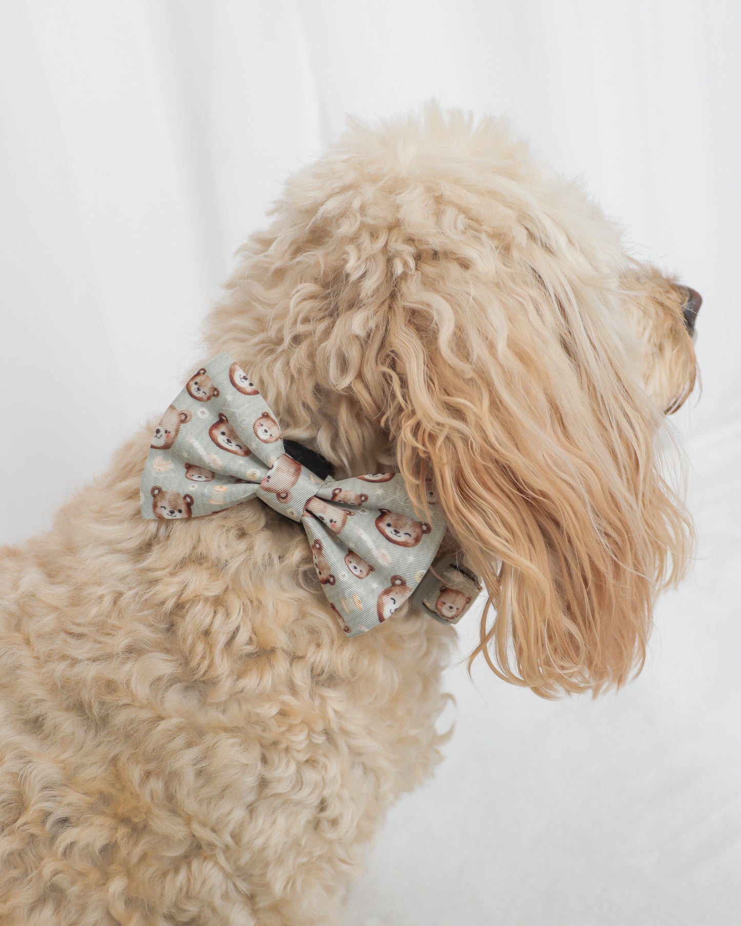 Bow Tie - Beary Sage