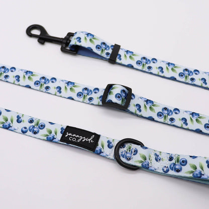 Adjustable Lead - Baby Blueberries