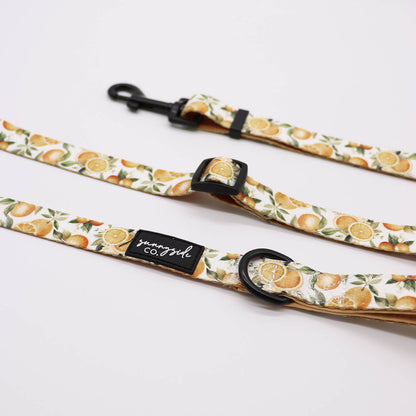 Adjustable Lead - Orange Blossom