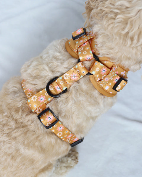 Adjustable Harness - Groovy Pup