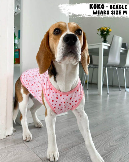 Dog Cooling Vest - Pretty in Pink