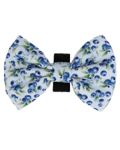 Bow Tie - Baby Blueberries