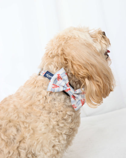 Bow Tie - Snappy Days