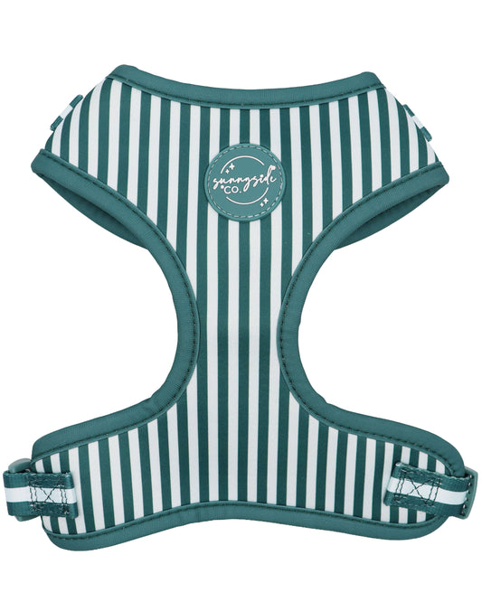Adjustable Harness - Teal Stripes
