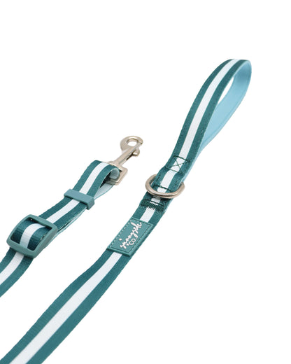 Adjustable Lead - Teal Stripes