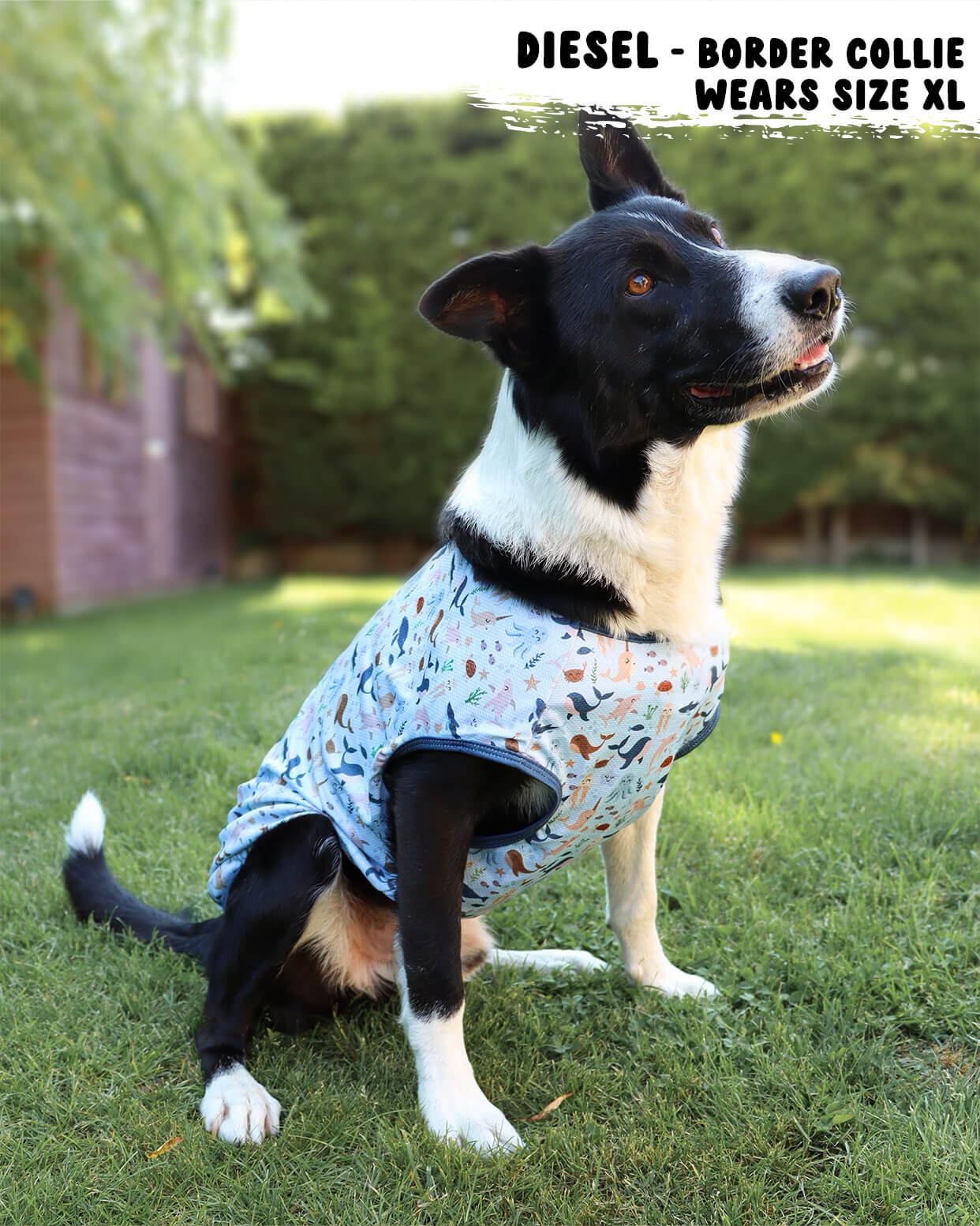 Dog Cooling Vest - Sea of Blue