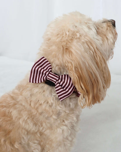 Bow Tie - Burgundy Stripes