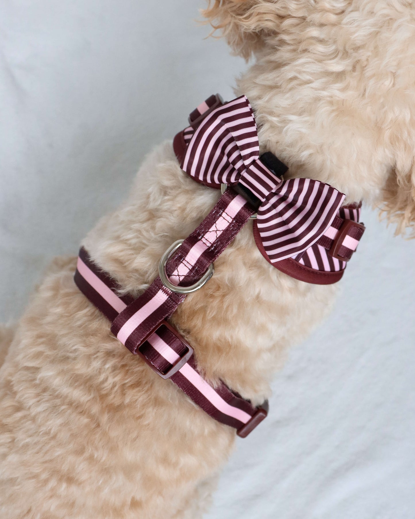 Bow Tie - Burgundy Stripes