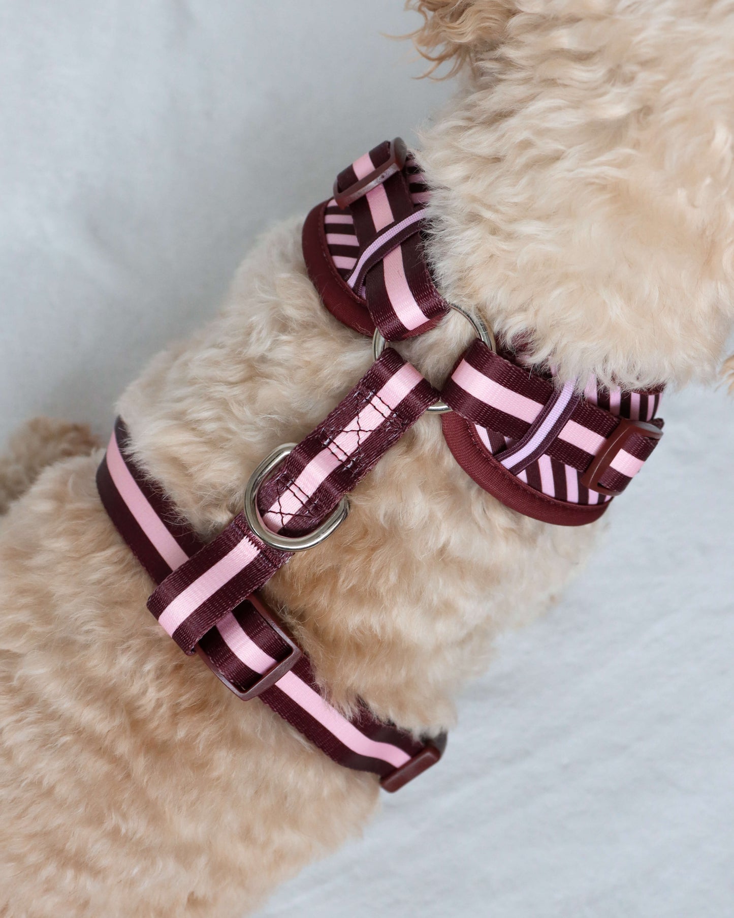 Adjustable Harness - Burgundy Stripes