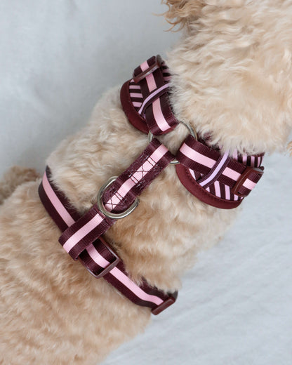 Adjustable Harness - Burgundy Stripes
