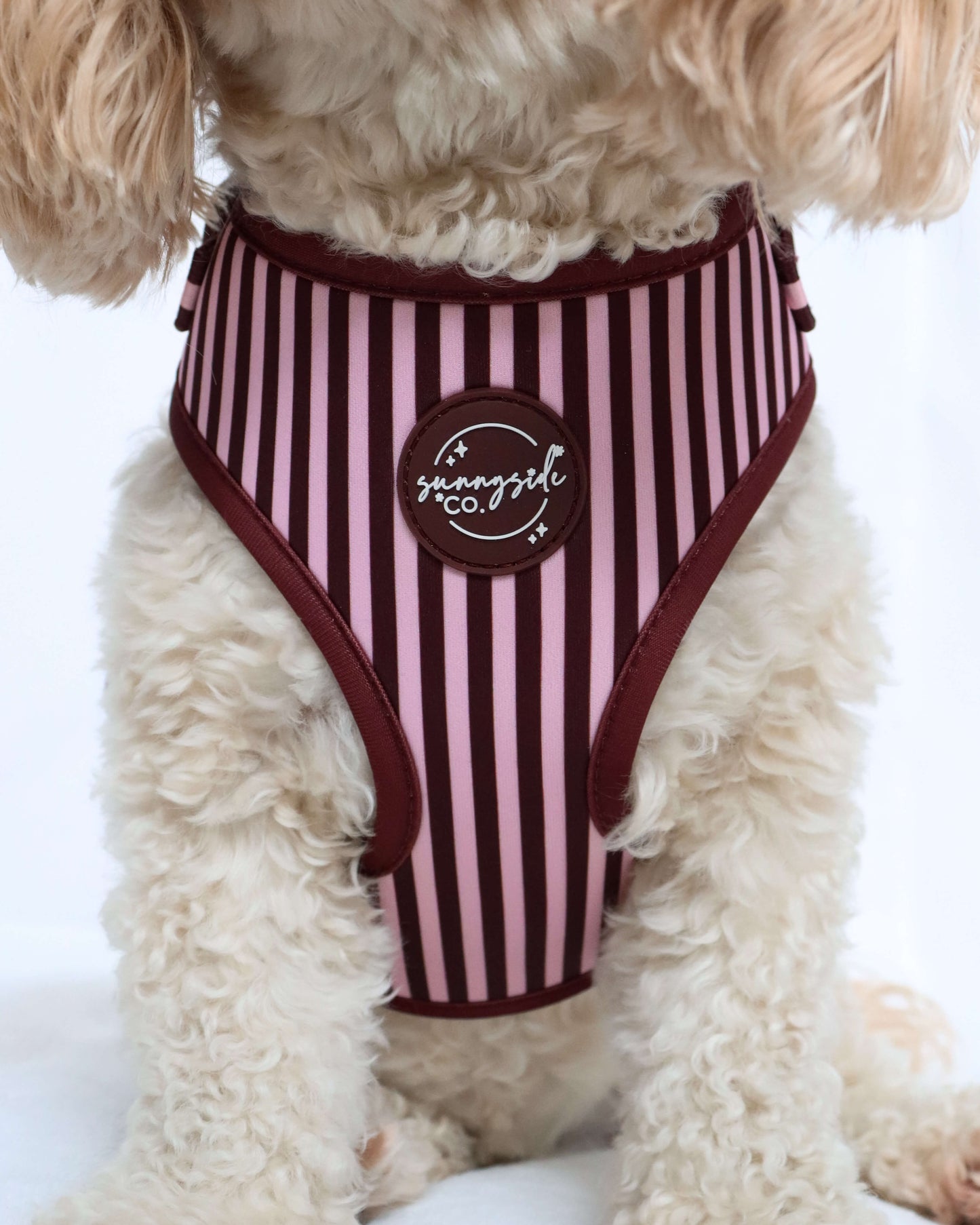 Adjustable Harness - Burgundy Stripes