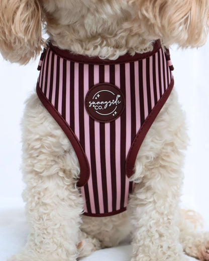 Adjustable Harness - Burgundy Stripes
