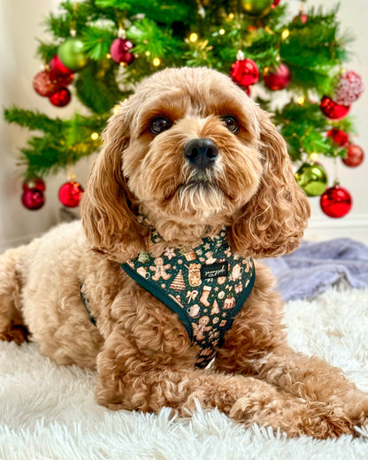 Adjustable Harness - Cosy Christmas