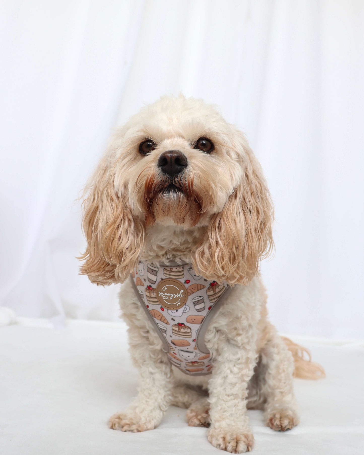 Adjustable Harness - Pawfee & Pastries