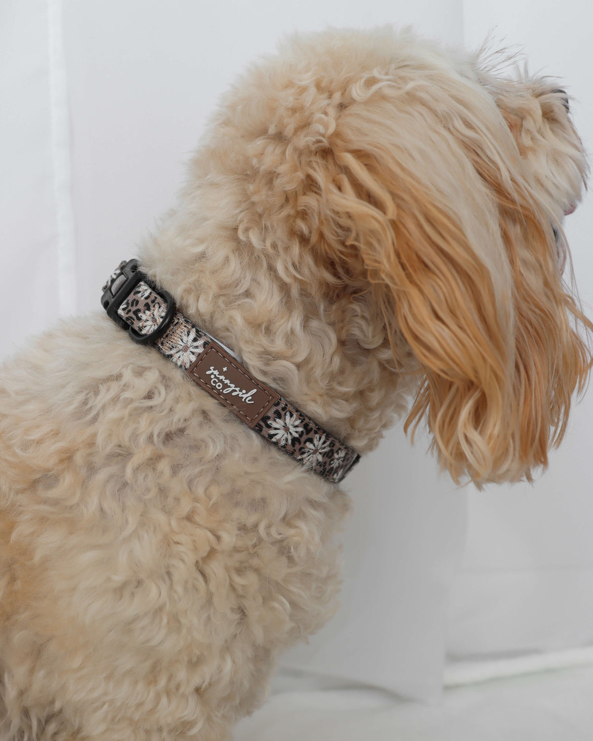 Collar - Leopard in Bloom